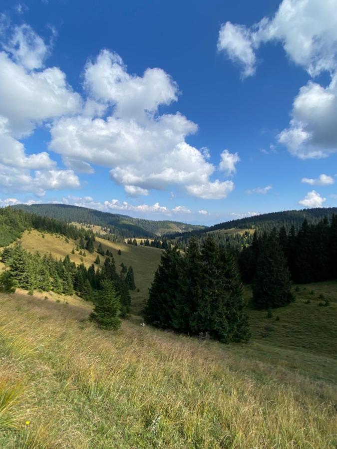 Apartman Viki Banská Bystrica Eksteriør billede
